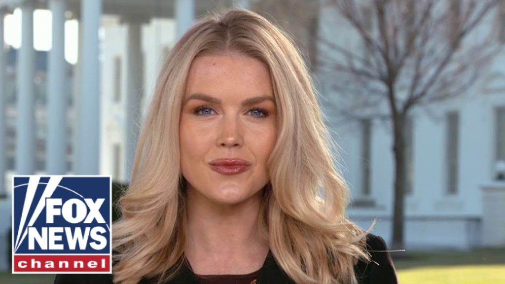 Karoline Leavitt: This is egregious Karoline Leavitt: This is egregious