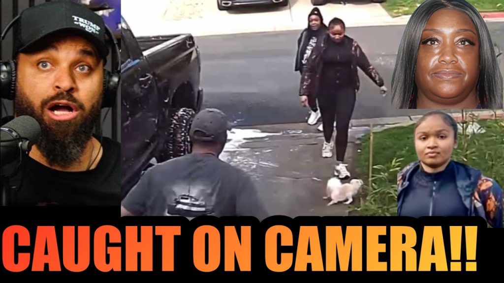 The Usual Suspects do the UNIMAGINABLE to Neighbor’s Dog After Misunderstanding!