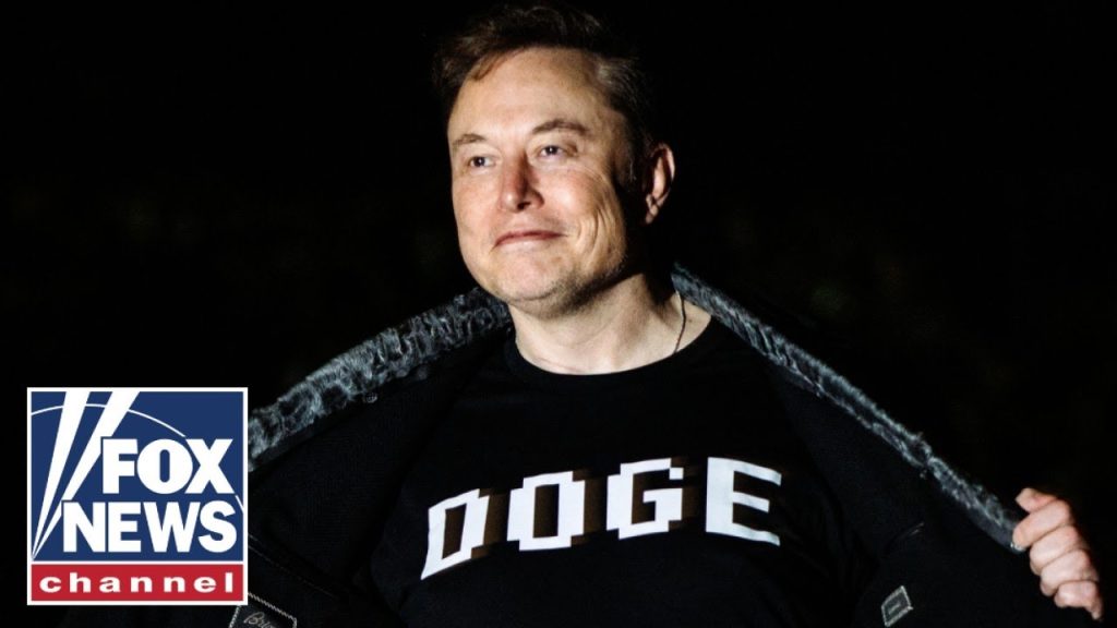 Court gives green light to Musk, DOGE on USAID cuts