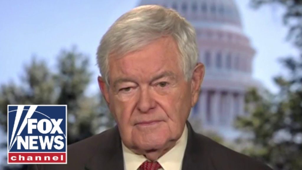 Gingrich sounds alarm: ‘This is a judicial coup d’etat’