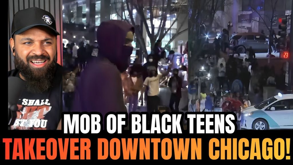Mob of Black Teens Take Over Tourist Area of Downtown Chicago!