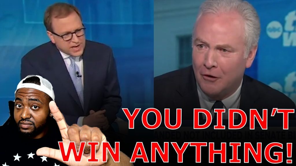 ABC Anchor STUNS Democrat Celebrating FAKE Victory Against Trump With BRUTAL Reality Check!