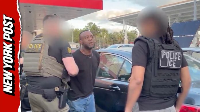 ICE Busts Illegal Haitian Drug Dealer In Florida