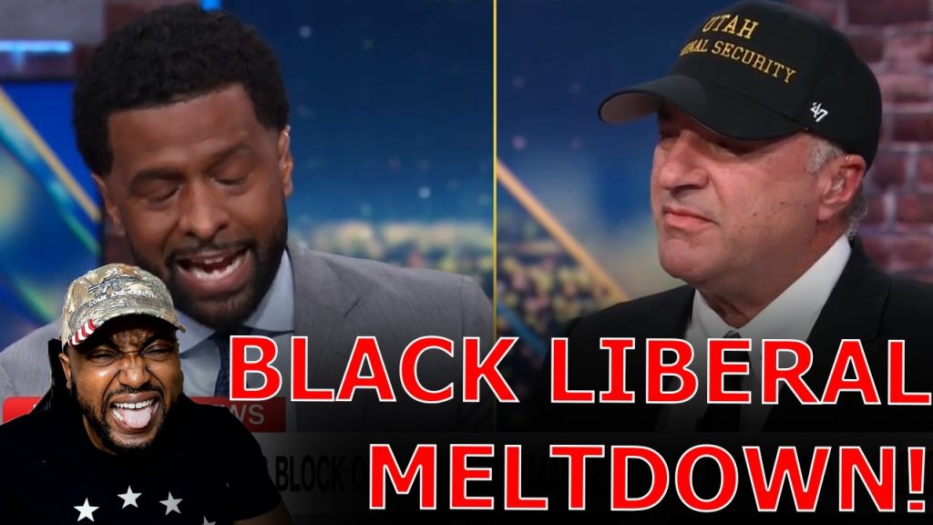 CNN Host STOPS SHOW As Black Liberal LOSES IT After Being Told TO GET OVER RACISM & Democrats LOSING